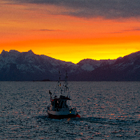Eugen Harry Larssen